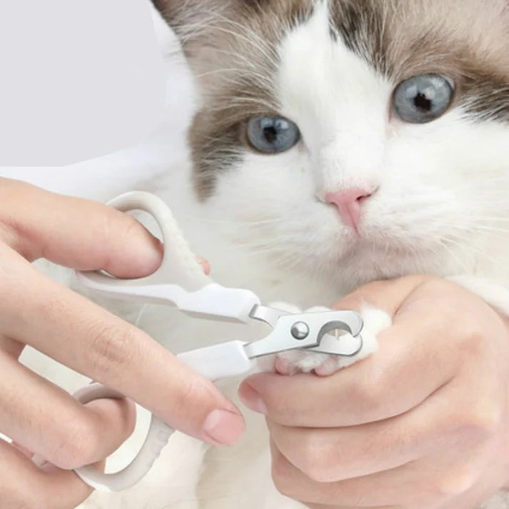 Nail Clipper